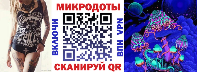 Купить где Дальнегорск Псилоцибиновые грибы Psilocybe